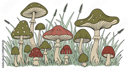 Colorful Mushrooms Growing in Grass.