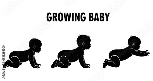 Baby development sequence in silhouette showing crawling progression against white background