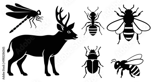 Animal and Insect Silhouettes Collection: Deer, Dragonfly, Ant, Bee, Beetle Icons