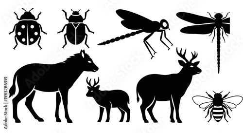 Animal and Insect Silhouettes Collection: Wildlife Nature Vector Icons