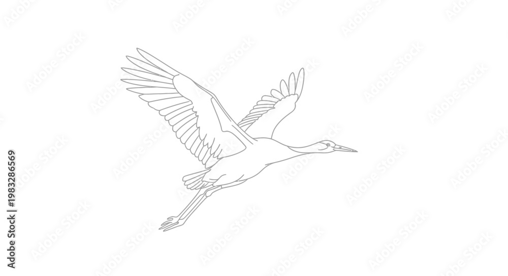 Obraz premium Large White Bird Flying Alone.