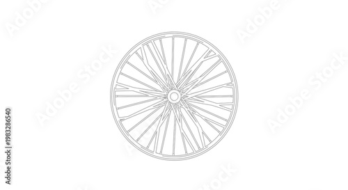Detailed illustration of a bicycle wheel.