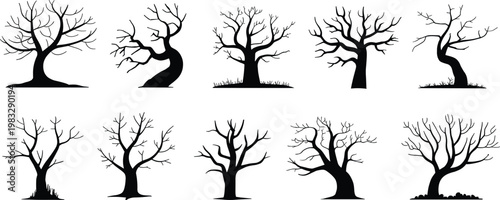 Collection of bare tree silhouettes, black leafless twisted branches isolated, spooky winter forest elements for design, illustration and Halloween themes