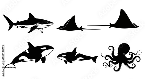 Black Silhouettes of Marine Animals: Shark, Manta Ray, Killer Whale, and Octopus