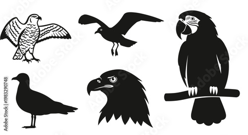 Collection of Diverse Bird Silhouettes and Icons on White Background