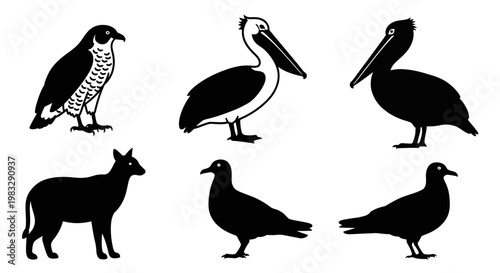 Diverse animal silhouettes: hawk, pelicans, fox, and pigeons in black and white