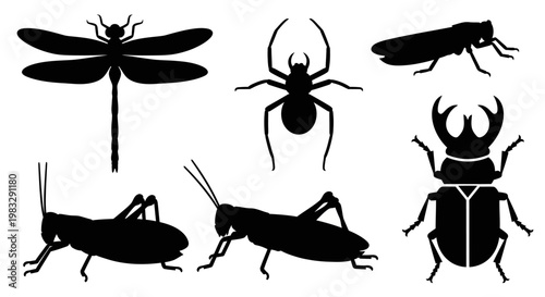 Diverse Insect and Arachnid Silhouettes Set Isolated on White Background
