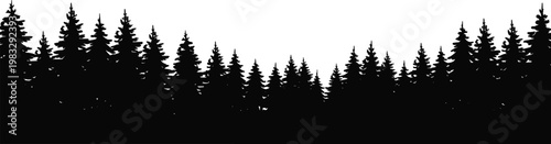 Wide pine forest silhouette border, black evergreen tree line isolated, natural woodland panorama for landscape design, winter illustration and graphic projects