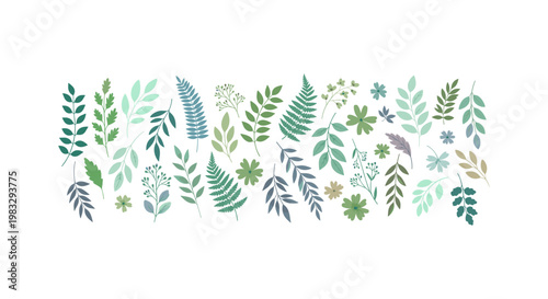 Detailed watercolor illustration of various green leaves and ferns, botanical art, nature theme