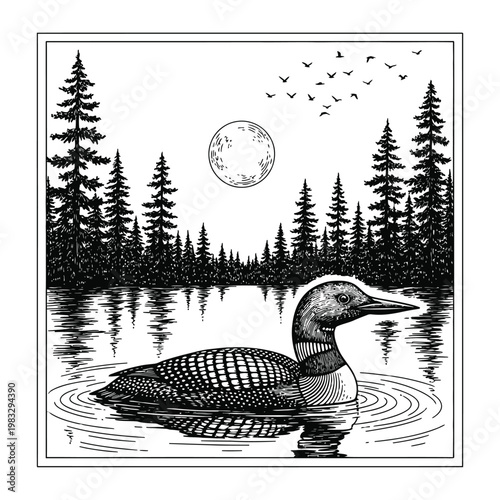 Photography Vintage loon bird swimming on calm lake with pine forest and moon background hand drawn woodcut style illustration for nature lovers and outdoors