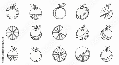 Collection of stylized orange fruit icons, varying in presentation and segmentation