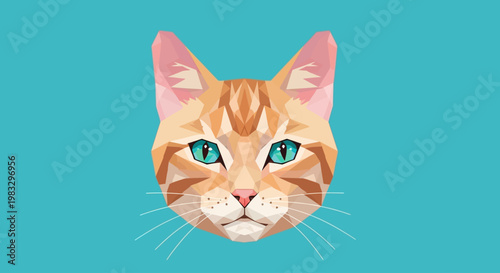 Closeup of orange tabby cat face.