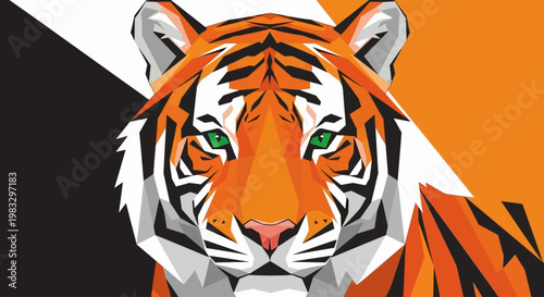 Close up of tiger face.