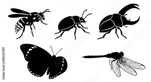 Insect silhouettes collection: wasp, beetle, butterfly, dragonfly vector icons