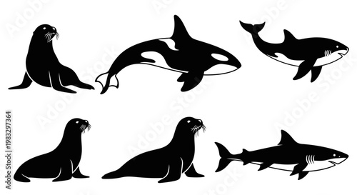 Marine Animal Silhouettes Set: Sea Lion, Orca, and Shark Icons for Ocean Wildlife Designs