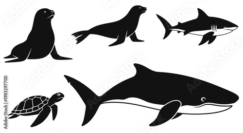 Marine Animals Silhouettes: Shark, Seal, and Turtle Icons Set