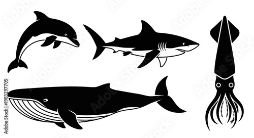 Marine Animals Silhouettes Vector Set: Dolphin, Shark, Whale, and Squid Sea Creatures