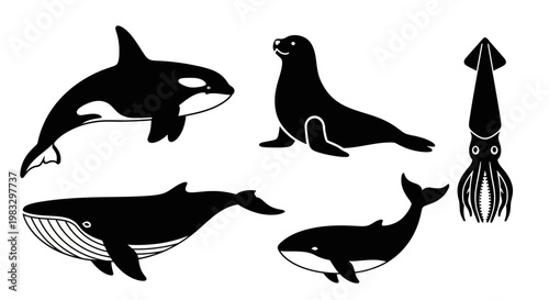 Oceanic Wildlife Silhouettes: Killer Whale, Humpback, Seal, and Squid Vector Set