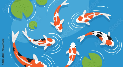 Colorful Koi Fish Swimming Together.