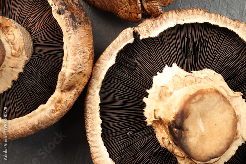 Large portobello mushroom on black slate background closeup details