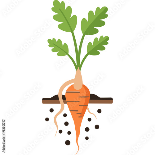 A vibrant orange carrot with leafy greens grows in soil with scattered seeds.