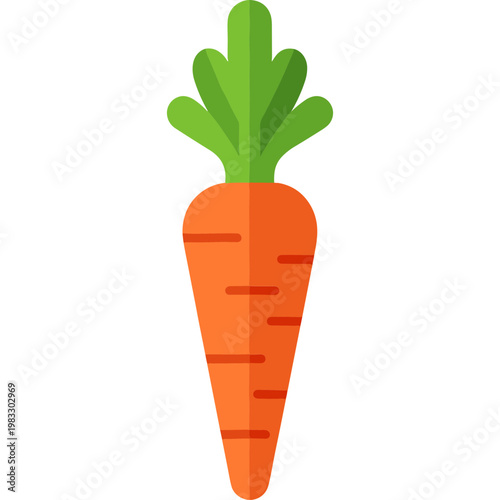 A vibrant orange carrot with green leafy tops stands alone.