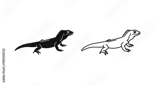 Lizard Illustrations: Unique Sketches of Geckos & Iguanas Vector