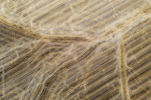 Abstract patterns caused by tractor wheel ruts in cornfield after wheat harvest, aerial view, drone shot, Córdoba province, Andalusia, Spain