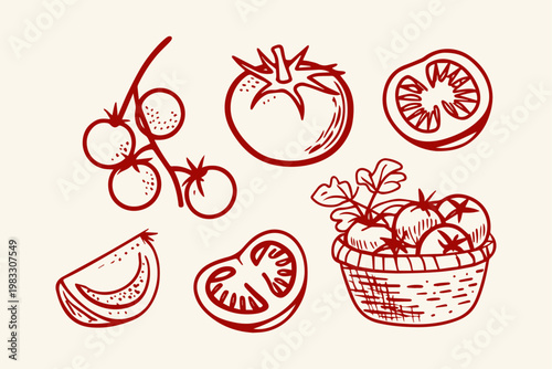Hand drawn collection of tomatoes and tomato slices with cherry basket of sliced vine food ingredient single object red outline collection