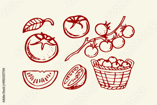 Hand drawn assortment of tomatoes and tomato slices with cherry sliced vine basket of food ingredient single object red outline collection