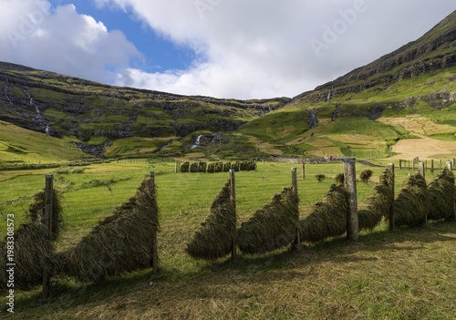 Hay hung to dry, Tjörnuvik or Tjørnuvík, Streymoy, Faroe Islands, Føroyar, Denmark