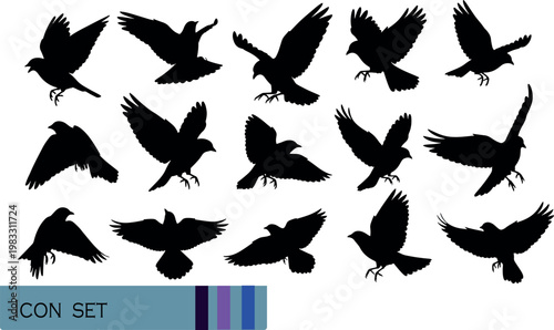 Print Pet Shop Supplies and Animal Care Accessories Icon Set