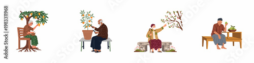 A collection of illustrations showing elderly men gardening, picking mangoes, pruning orange trees, and enjoying fresh harvested fruits outdoors.