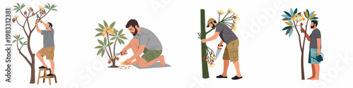 Illustrations of a man performing various gardening tasks including pruning, sawing, and caring for plumeria trees on a clean white background.
