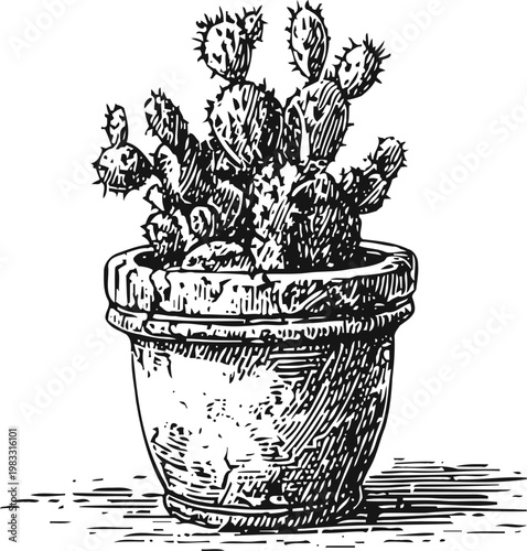 Hand drawn cactus in flower pot detailed sketch of prickly desert succulent plant in clay container
