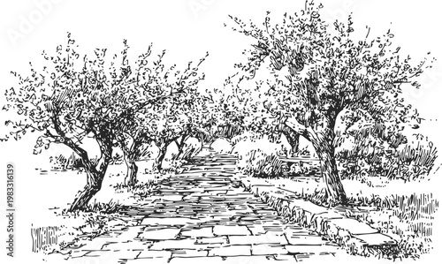 Stone pathway lined with blossoming trees and natural garden landscape, spring outdoor scene