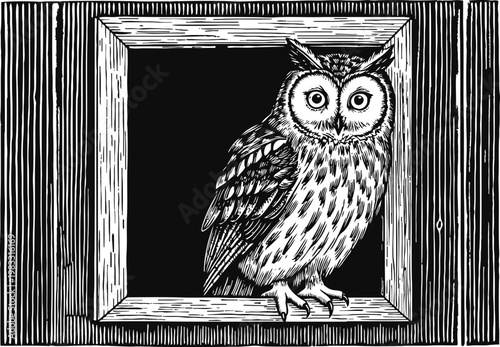 owl perched on wooden window frame black and white detailed woodcut illustration of wise bird