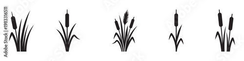 Reed and cattail plant silhouettes icon set. Set of reed and cattail plant silhouettes isolated on white background. Vector Illustration. EPS 10