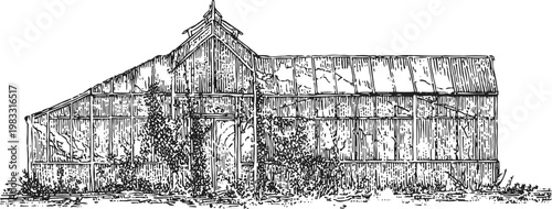 Vintage glass greenhouse with climbing plants and vines, rustic garden structure illustration