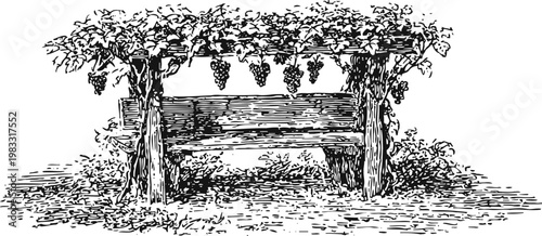 rustic wooden bench under grapevine arbor with hanging bunches of grapes, vintage garden scene