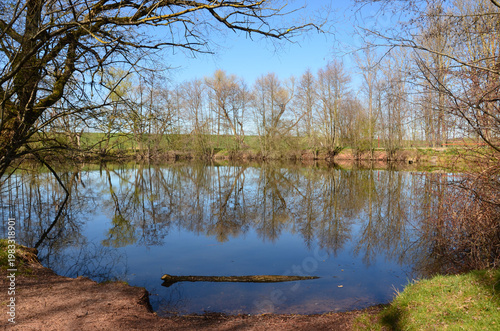 Frühling am Waldsee