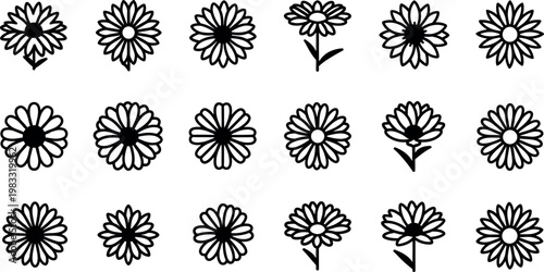 Black and white outline of daisy flowers and stems simple