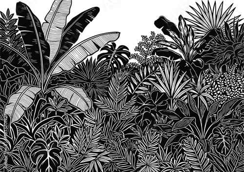 Jungle silhouette dense tropical foliage in black and white