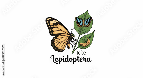 Butterflies and caterpillar on leaves with text below