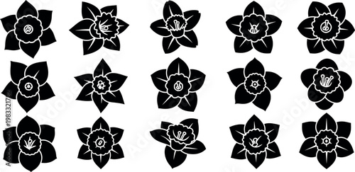 Collection of black and white stylized daffodil flower with varied petal and trumpet details narcissus