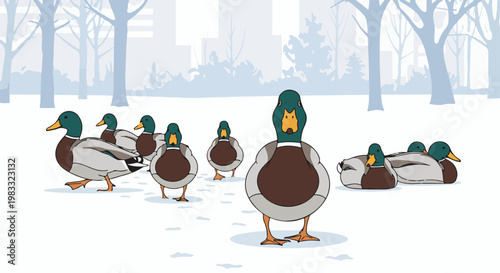 Mallard ducks in a winter park with bare trees and snow on ground