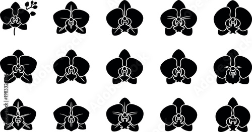 Collection of black orchid flower with white outlines on white background silhouette
