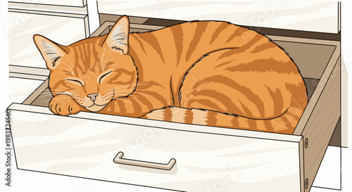 Cozy ginger tabby cat peacefully sleeping curled up in an open drawer