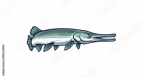 Stylized illustration of a long-snouted predatory fish with sharp teeth