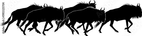 Fotografía Wildebeest herd running across landscape silhouette vector illustration